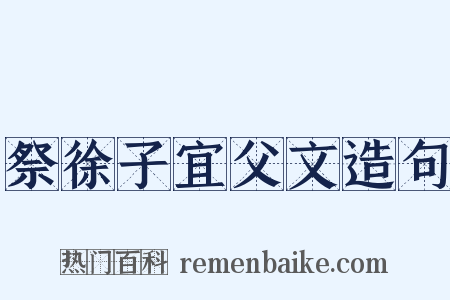 祭徐子宜父文造句是什么意思的图片